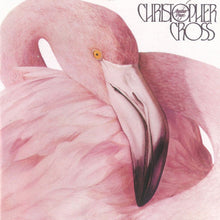 Load image into Gallery viewer, Christopher Cross : Another Page (LP, Album)