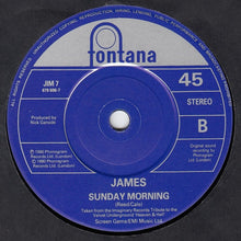 Load image into Gallery viewer, James : Lose Control (7", Single)