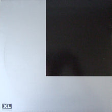 Load image into Gallery viewer, The Prodigy : Poison (12", Promo)