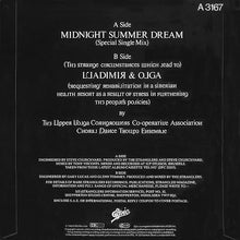 Load image into Gallery viewer, The Stranglers : Midnight Summer Dream (7", Single)
