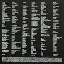 Load image into Gallery viewer, Lily Allen : No Shame (LP, Album)