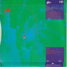 Load image into Gallery viewer, Lovebug Starski : Amityville (The House On The Hill) (7", Single)