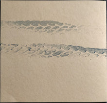 Load image into Gallery viewer, Spectres (6) : WTF (12", EP, Ltd, Cle)