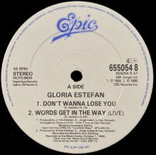 Load image into Gallery viewer, Gloria Estefan : Don't Wanna Lose You (12", Single)