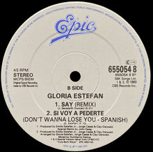 Load image into Gallery viewer, Gloria Estefan : Don't Wanna Lose You (12", Single)