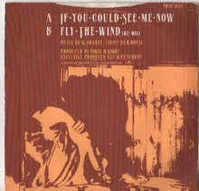 Load image into Gallery viewer, Shakatak : If You Could See Me Now (7")