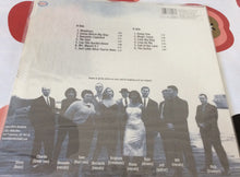 Load image into Gallery viewer, The Inciters : Doing Fine (LP, Album)