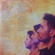 Load image into Gallery viewer, You Me At Six : VI (LP, Album)