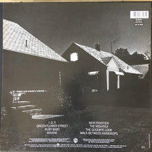 Load image into Gallery viewer, Donald Fagen : The Nightfly (LP, Album, RE)