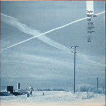 Load image into Gallery viewer, The Railway Children : Brighter (12")