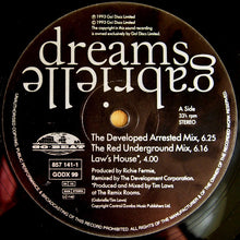 Load image into Gallery viewer, Gabrielle : Dreams (12")