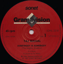 Load image into Gallery viewer, Taj Mahal : Everybody Is Somebody (12", Single)