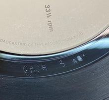Load image into Gallery viewer, Steve Vai : Flex-Able (LP, Album)
