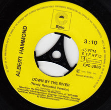 Load image into Gallery viewer, Albert Hammond : Down By The River (7", Single)