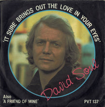 Load image into Gallery viewer, David Soul : It Sure Brings Out The Love In Your Eyes (7", Mono)