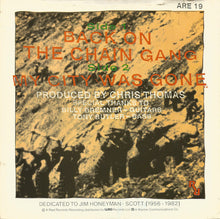 Load image into Gallery viewer, The Pretenders : Back On The Chain Gang (7", Single)