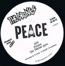 Load image into Gallery viewer, The Drones : Will You Stand In Front Of Bullets? (7", EP)