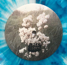 Load image into Gallery viewer, Tim Burgess : I Love The New Sky (LP, Album, Ltd, Tra)