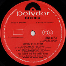 Load image into Gallery viewer, Ted Nugent And The Amboy Dukes : Survival Of The Fittest - Live / Marriage On The Rocks - Rock Bottom (2xLP, Comp)