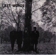 Load image into Gallery viewer, Last Words* : Todays Kidz (7", Single)