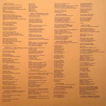 Load image into Gallery viewer, Calexico : Seasonal Shift (LP, Album)