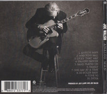 Load image into Gallery viewer, Joe Walsh : Analog Man (CD, Album, Gat)