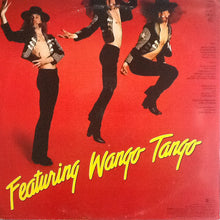 Load image into Gallery viewer, Ted Nugent : Scream Dream (LP, Album)