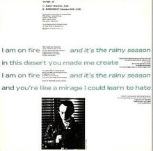 Load image into Gallery viewer, Howard Devoto : Rainy Season (12", Single)