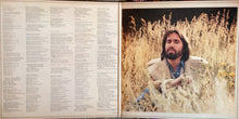 Load image into Gallery viewer, Dan Fogelberg : Phoenix (LP, Album, Gat)