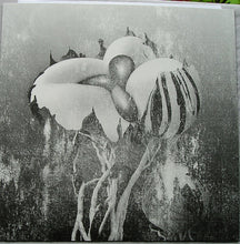 Load image into Gallery viewer, Ziúr : Antifate (12", Album, Gre)