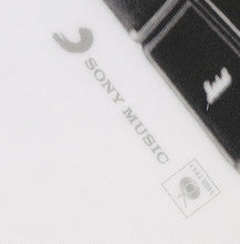 Load image into Gallery viewer, AC/DC : Through The Mists Of Time / Witch's Spell (12", RSD, Ltd, Pic)