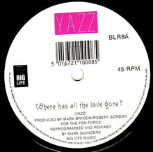 Load image into Gallery viewer, Yazz : Where Has All The Love Gone? (7", Single)
