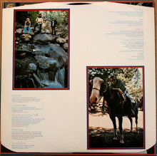 Load image into Gallery viewer, Elton John : Greatest Hits (LP, Comp, RE)