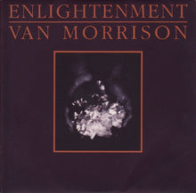Load image into Gallery viewer, Van Morrison : Enlightenment (7", Single)