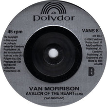 Load image into Gallery viewer, Van Morrison : Enlightenment (7", Single)