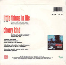 Load image into Gallery viewer, Green On Red : Little Things In Life (7")