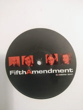 Load image into Gallery viewer, Fifth Amendment : Camera Shy (12")