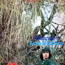 Load image into Gallery viewer, Al Stewart : Zero She Flies (LP, Album, RE)