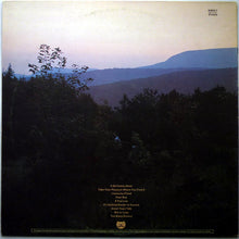 Load image into Gallery viewer, Paul Butterfield's Better Days : It All Comes Back (LP, Album)