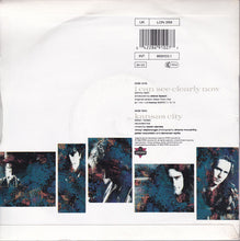 Load image into Gallery viewer, Hothouse Flowers : I Can See Clearly Now (7", Single)
