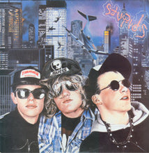 Load image into Gallery viewer, Stupids : Van Stupid (LP, Album, P/Mixed)