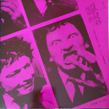 Load image into Gallery viewer, Stupids : Van Stupid (LP, Album, P/Mixed)