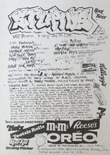 Load image into Gallery viewer, Stupids : Van Stupid (LP, Album, P/Mixed)