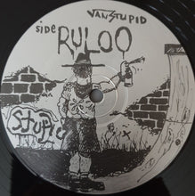 Load image into Gallery viewer, Stupids : Van Stupid (LP, Album, P/Mixed)