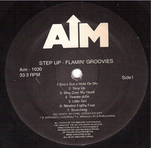 Load image into Gallery viewer, The Flamin' Groovies : Step Up (LP, Album)