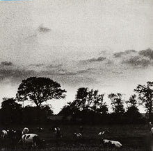 Load image into Gallery viewer, Pink Floyd : Atom Heart Mother (LP, Album, RP, Gat)