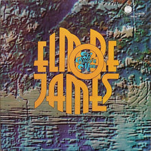 Load image into Gallery viewer, Elmore James : To Know A Man (2xLP, Comp, Gat)