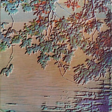 Load image into Gallery viewer, Elmore James : To Know A Man (2xLP, Comp, Gat)