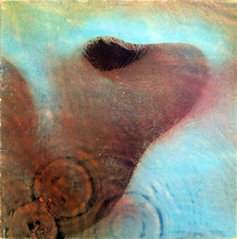 Load image into Gallery viewer, Pink Floyd : Meddle (LP, Album, RE, Bla)
