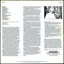 Load image into Gallery viewer, Matt Lucas (2) : Ride That Train Tonight (LP, Comp)